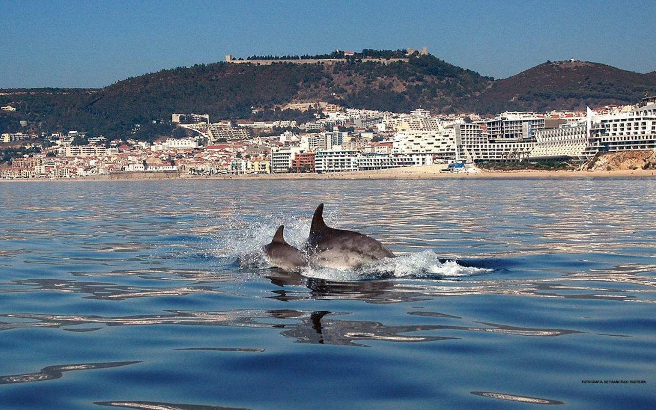 Felp Sesimbra Beach 1006 Zewnętrze zdjęcie